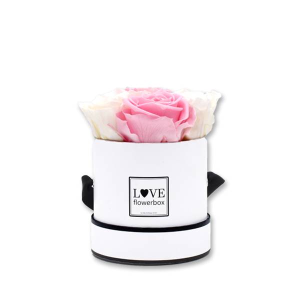 FlowerBox_modern_Rosenbox_Mix_Infinity_Rosen_weiss_rosa.jpg