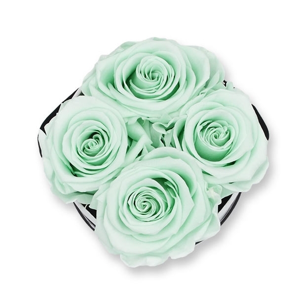 Rosenbox Infinity Rosen mint grün | Flowerbox | Blumenbox | S Modern black