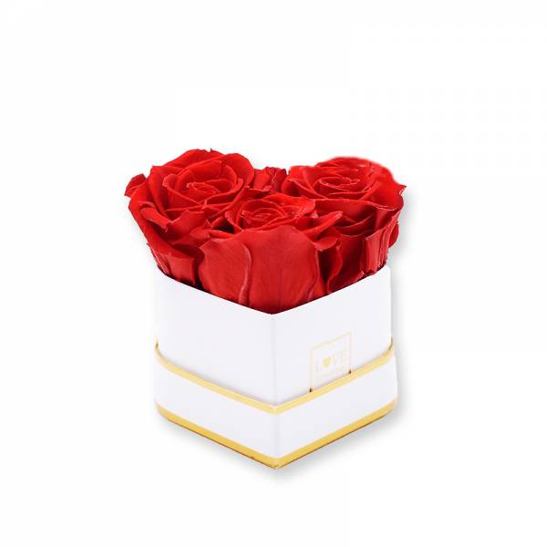 Rosenbox Herz Infinity Rosen rot | Flowerbox Herzbox | Mini white gold