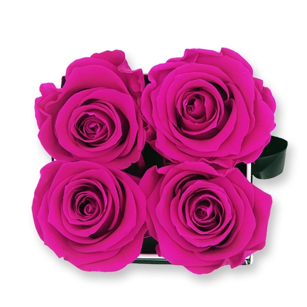 Rosenbox Infinity Rosen pink | Flowerbox eckig | S Modern white