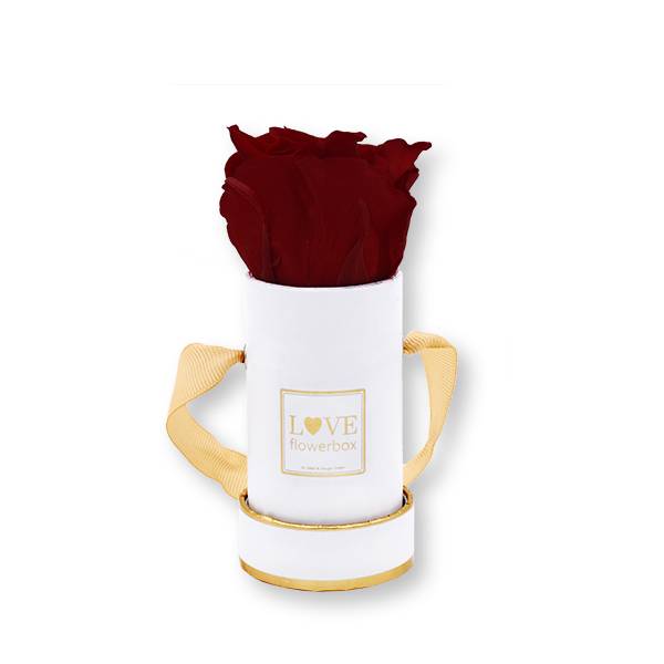 Flowerbox Modern gold | Mini | Rosen Burgundy (Bordeaux)