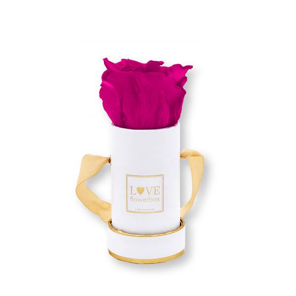 Flowerbox Modern gold | Mini | Rosen Hot Pink (Pink)