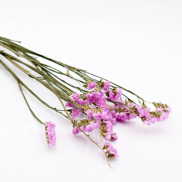 Love_dried_flowers_Trockenblumen_getrocknete_Blumen_Statice_light_pink_5_Stiele_2_1.jpg