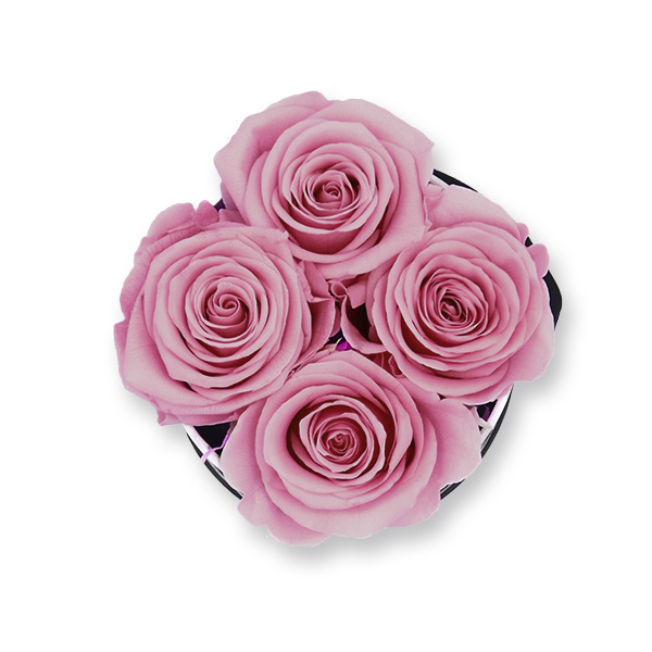 Rosenbox Infinity Rosen alt rosa | Flowerbox | Blumenbox | S Modern w gold