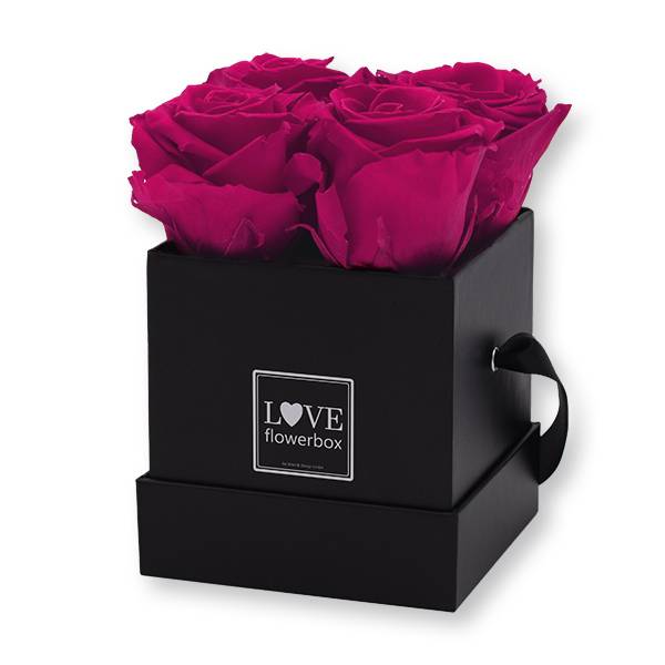 Flowerbox Modern | Small | Rosen Raspberry (Himbeere)