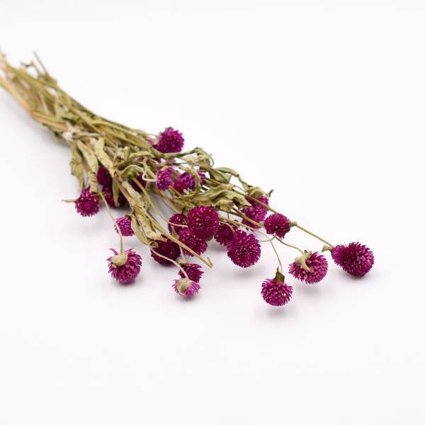 Love_dried_flowers_Trockenblumen_getrocknete_Blumen_Gomphena_beere.jpg