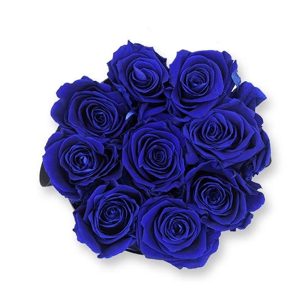 Rosenbox Infinity Rosen dunkel blau | Flowerbox | Blumenbox | M Modern white