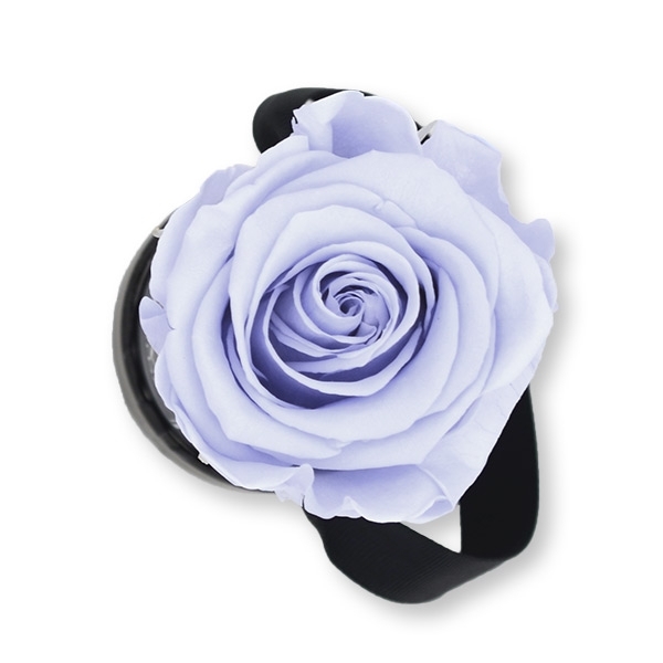 Rosenbox Infinity Rosen lavendel | Flowerbox | Blumenbox | XS Modern black