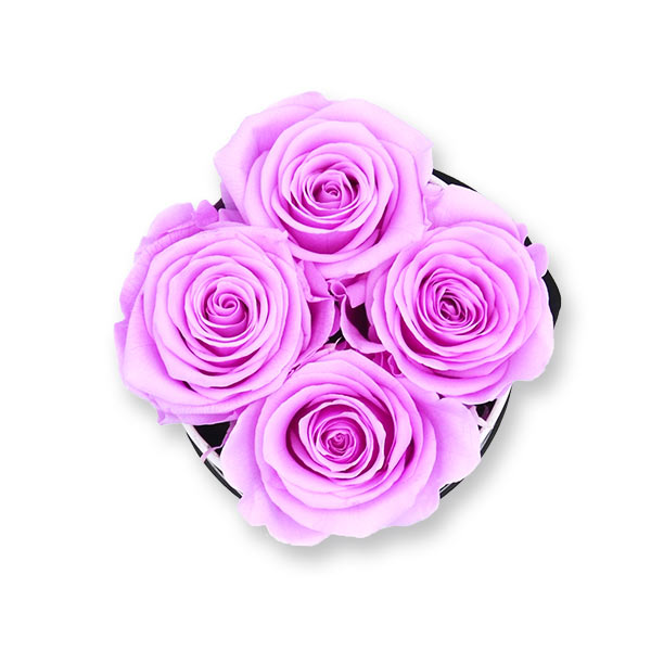 Rosenbox Infinity Rosen flieder | Flowerbox | Blumenbox | S Modern w gold