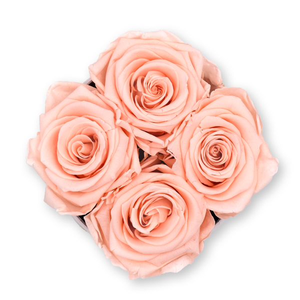 Rosenbox Infinity Rosen pastell rosa | Flowerbox | Blumenbox | S Modern black