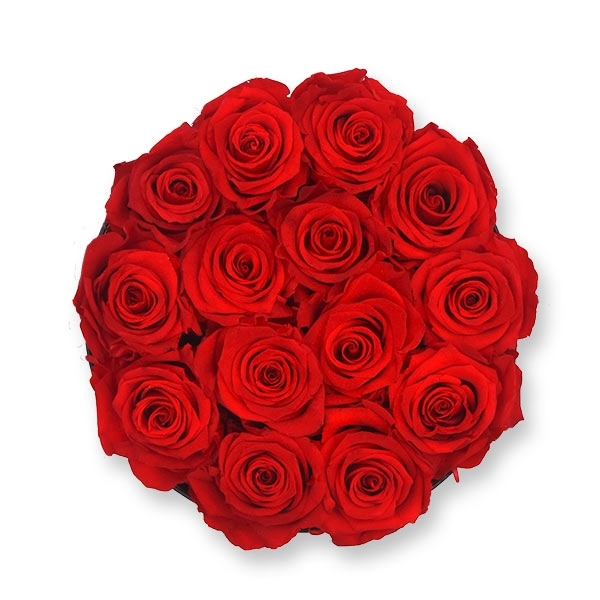 Rosenbox XL 24X23CM Schwarzer Flowerbox Flowerbox mit konservierten Rosen Heerda Rosenbox mit 19 Infinity Rosen 