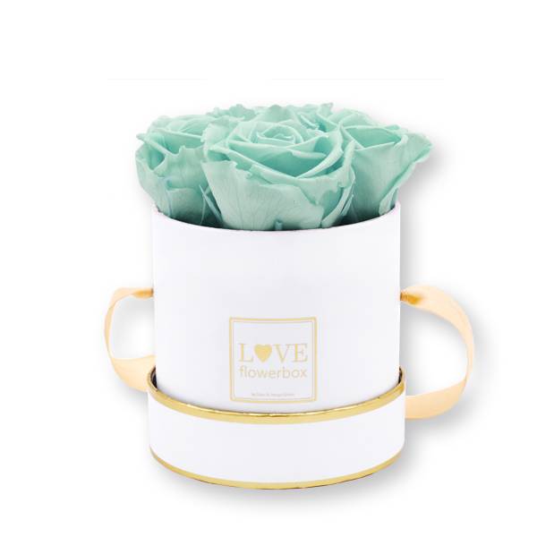 Flowerbox Modern gold | Small | Rosen Minty Green (Mint)