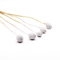 Mohnkapseln getrocknet | weiss | 5 Stiele Mohnkapseln getrocknet | weiss | 5 Stiele