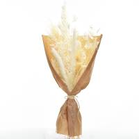 Trockenblumenstrauß Weisse Eleganz M | Trockenblumen weiss-ivory | Pampasgras, Ruskus, Lunaria