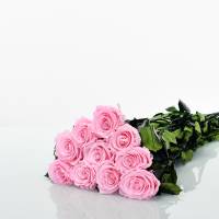 Rosenstrauß | Blumenstrauß mit langstieligen Infinity Rosen | Anzahl frei wählbar | Rosa