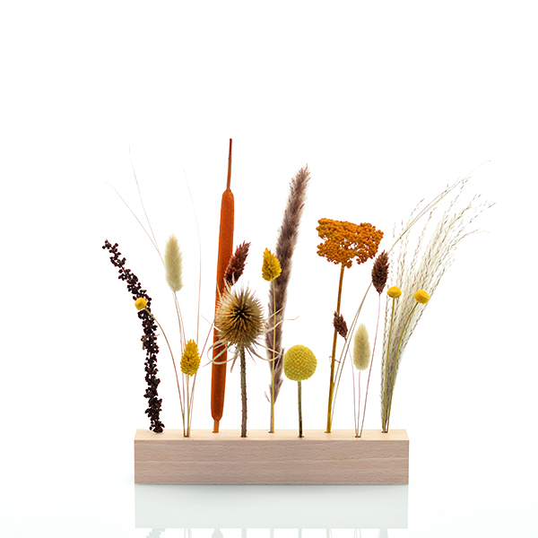 Trockenblumen | Blütenleiste | Holzleiste