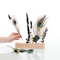 Trockenblumen | Blütenleiste | Pfauenglanz | grün-schwarz-gold