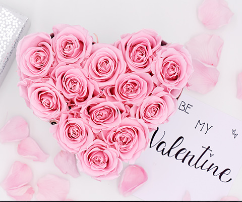 Überraschende Rose zum Valentinstag - mk-online