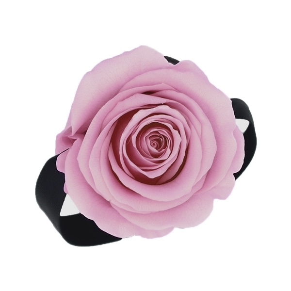Rosenbox Infinity Rosen alt rosa | Flowerbox | Blumenbox | XS Modern black