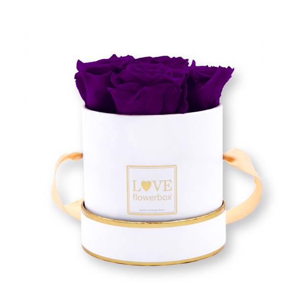 Flowerbox Modern gold | Small | Rosen Lilac (Dunkellila)