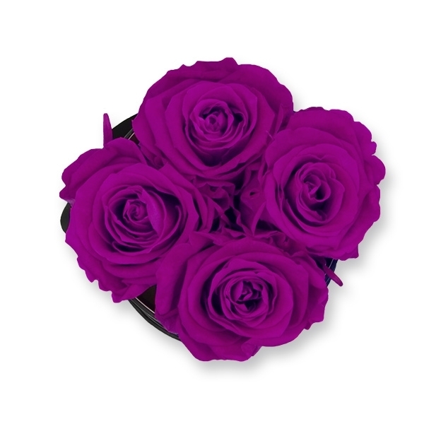 Rosenbox Infinity Rosen lila | Flowerbox | Blumenbox | S Modern black, konservierte Rosen