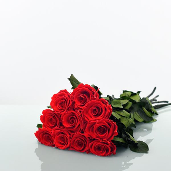 Rosenstrauß | Blumenstrauß mit 10 langstieligen Infinity Rosen | rot