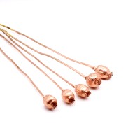 Mohnkapseln getrocknet | kupfer | 5 Stiele Mohnkapseln getrocknet | kupfer | 5 Stiele