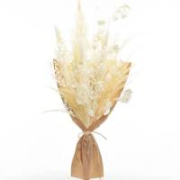 Trockenblumenstrauß Weisse Eleganz L | Trockenblumen weiss-ivory | Pampasgras, Ruskus, Lunaria
