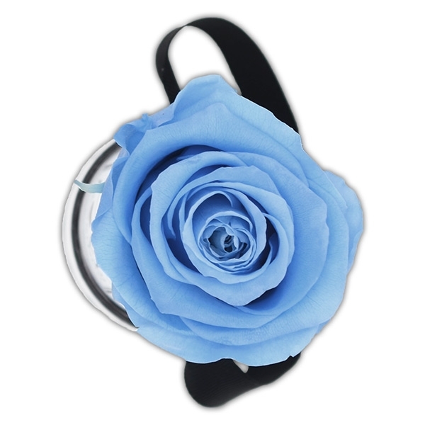 Rosenbox Infinity Rosen hell blau | Flowerbox | Blumenbox | XS Modern white