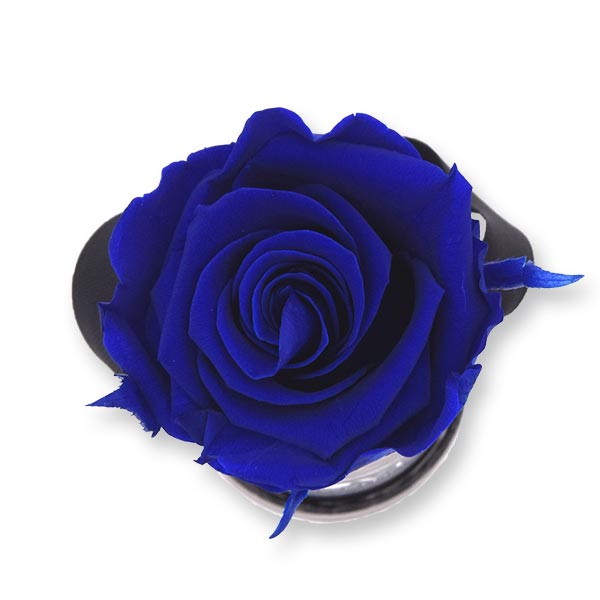 Rosenbox Infinity Rosen dunkel blau | Flowerbox | Blumenbox | XS Modern w gold