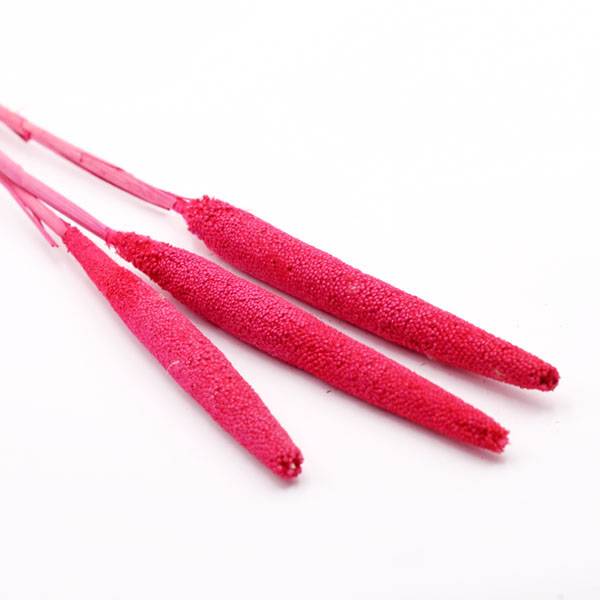 Love_dried_flowers_Trockenblumen_getrocknete_Blumen_Babalas_pink_cerise_3_Stiele.jpg