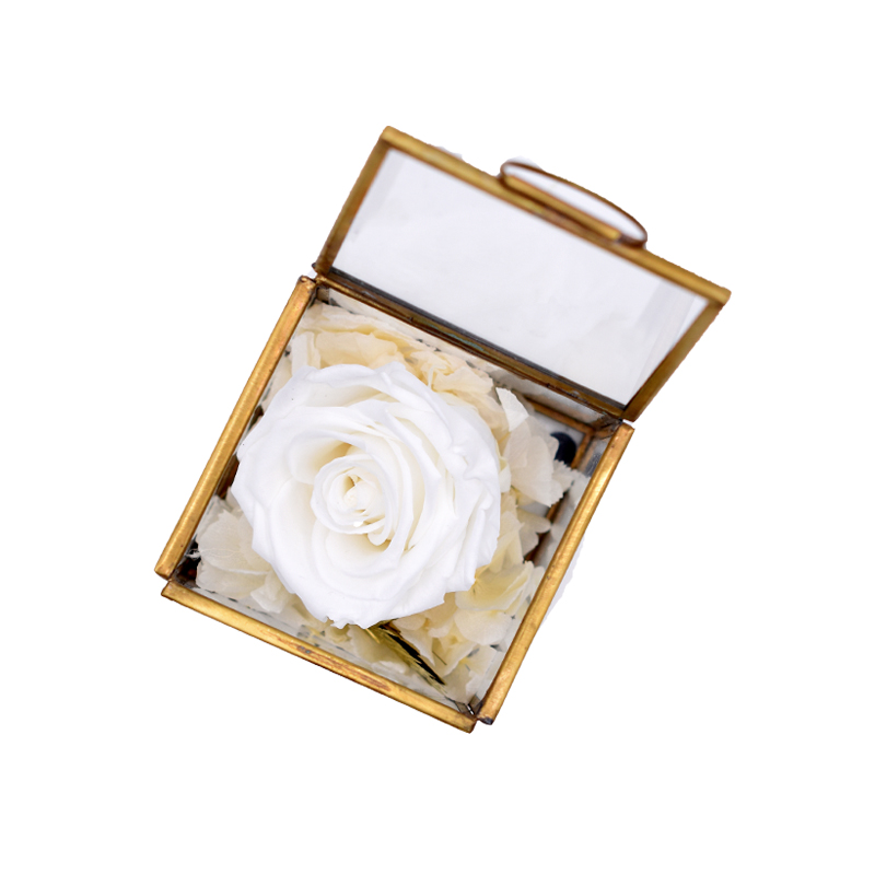 Flowerbox Würfel Glas mit Rose weiss pure white