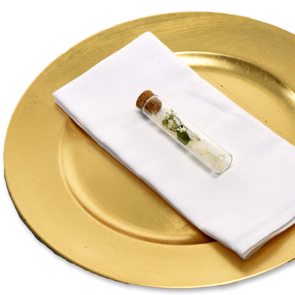 Gastgeschenk Trockenblumen Reagenzglas | weiss-natur (5er-Set)