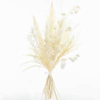 Trockenblumenstrauß Weisse Eleganz L | Trockenblumen weiss-ivory | Pampasgras, Ruskus, Lunaria Trockenblumenstrauß Weisse Eleganz L | Trockenblumen weiss-ivory | Pampasgras, Ruskus, Lunaria