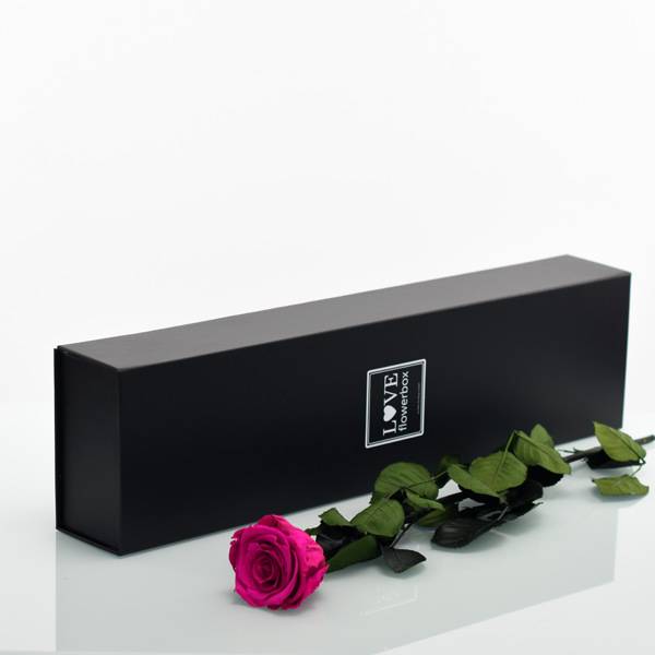 Flowerbox Lang | Classic | Rosen Raspberry (Himbeere)