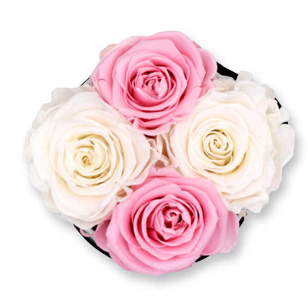 Rosenbox Infinity Rosen weiss rosa | Flowerbox | Blumenbox | S Modern white