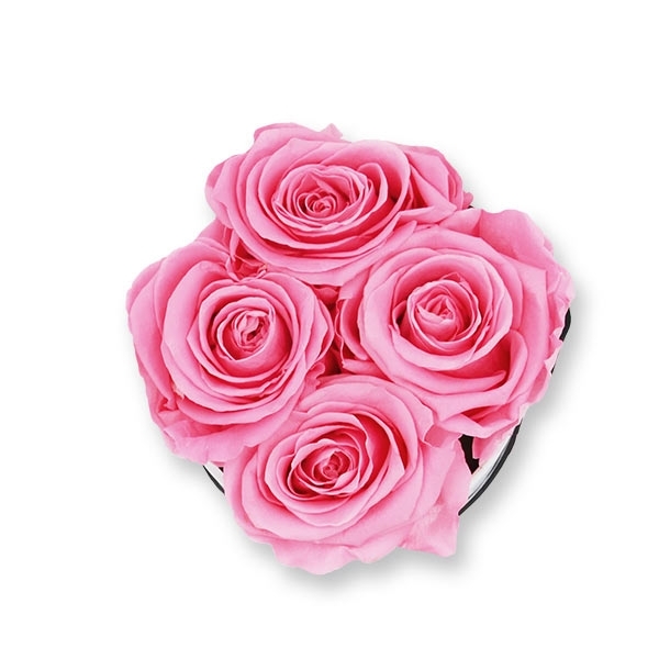 Rosenbox Infinity Rosen baby rosa | Flowerbox | Blumenbox | S Modern black