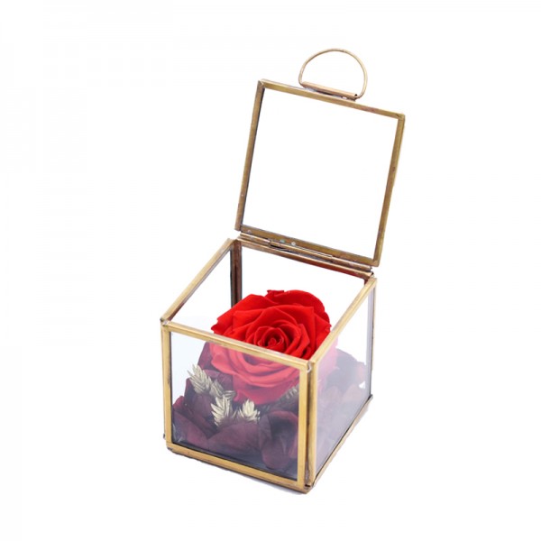 Flowerbox Würfel Glas mit Rose rot vibrant red 2