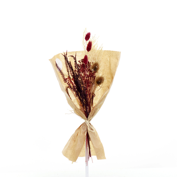 Trockenblumenstrauß Stiller Moment S | Trockenblumen natur-rot-bordeaux
