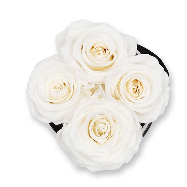 Rosenbox Infinity Rosen weiss | Flowerbox | Blumenbox | S Modern black
