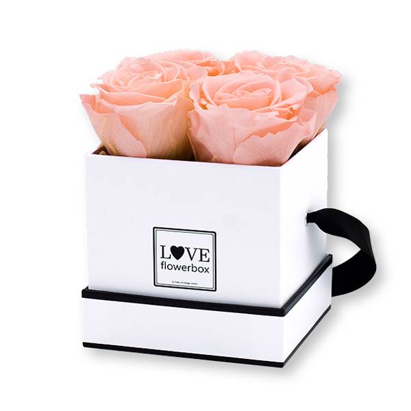 Flowerbox Modern | Small | Rosen Pastellrosa