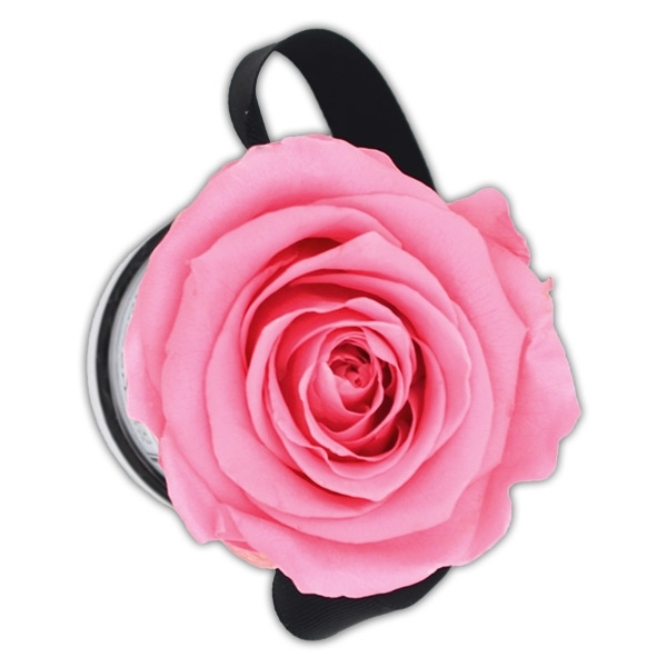 Rosenbox Infinity Rosen baby rosa | Flowerbox | Blumenbox | XS Modern white