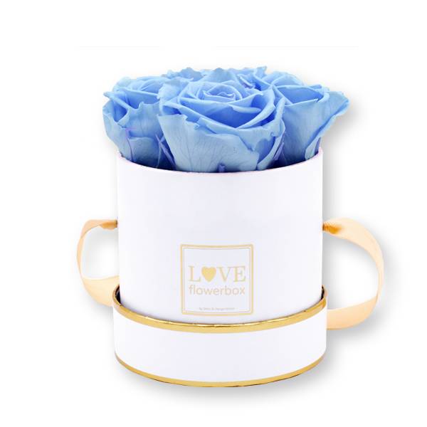 Flowerbox Modern gold | Small | Rosen Baby Blue (Hellblau)