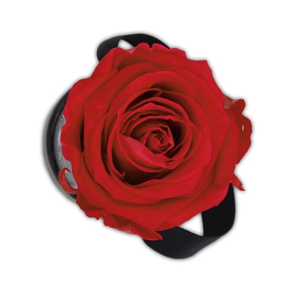 Rosenbox Infinity Rosen rot | Flowerbox | Blumenbox | XS Modern black