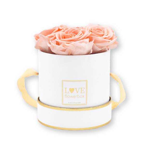 Flowerbox Modern gold | Small | Rosen Pastellrosa