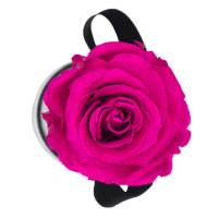Flowerbox Modern gold | Mini | Rosen Hot Pink (Pink)