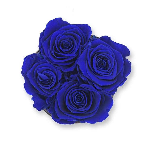 Rosenbox Infinity Rosen dunkel blau | Flowerbox | Blumenbox | S Modern black