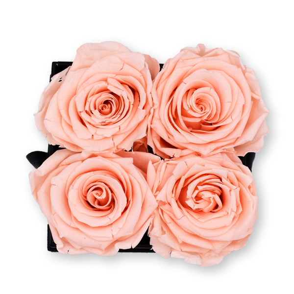 Rosenbox Infinity Rosen pastell rosa | Flowerbox eckig | S Modern black