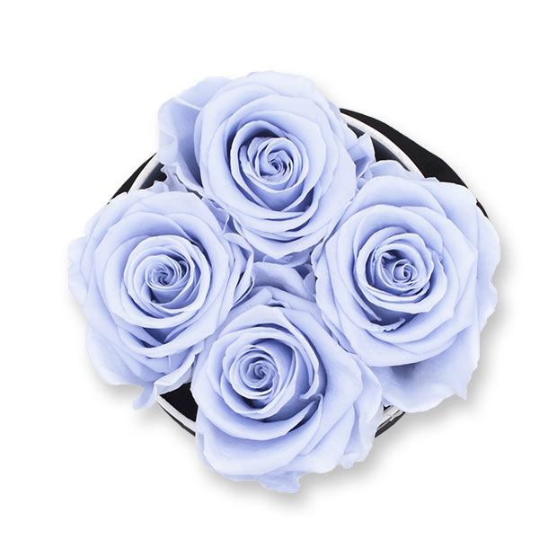 Rosenbox Infinity Rosen lavendel | Flowerbox | Blumenbox | S Modern w gold