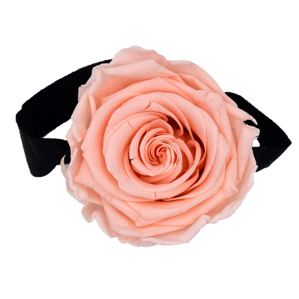 Rosenbox Infinity Rosen pastell rosa | Flowerbox | Blumenbox | XS Modern w gold